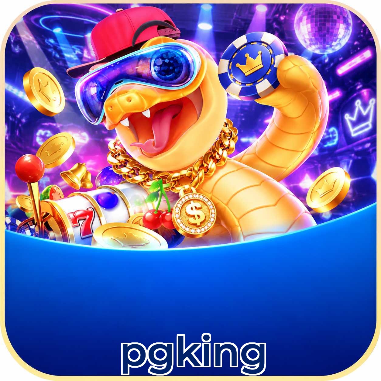 pgking Security